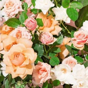 Reminder: All prices are negotiable!